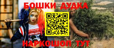 хмурый Гудермес
