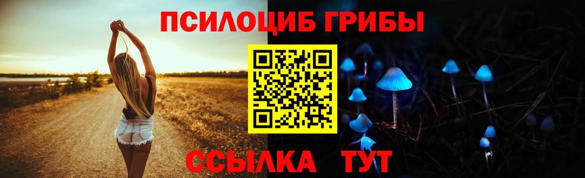 Галлюциногенные грибы мицелий  купить наркоту  Калуга  Вход с VPN  Галлюциногенные грибы прущие грибы 